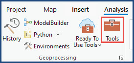The Tools icon in the Geoprocessing group on the Analysis tab.