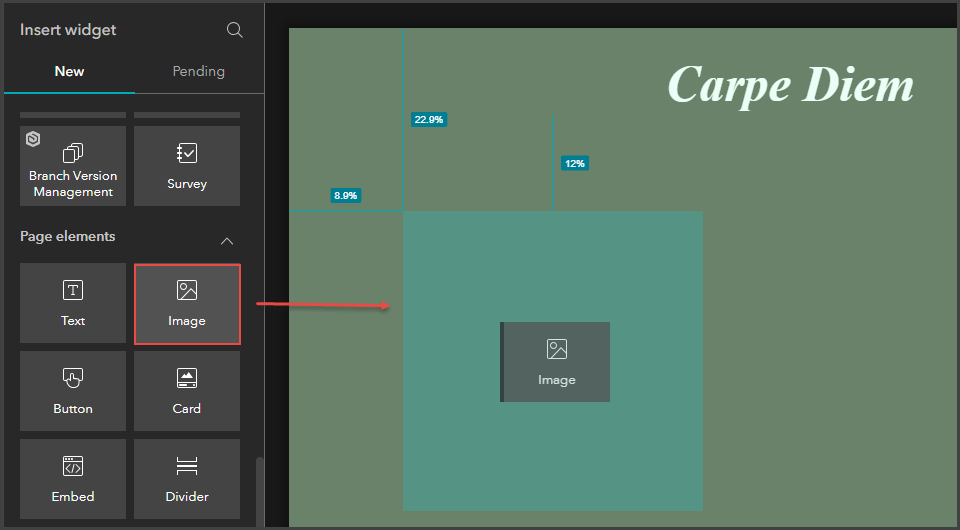 Drag the Image widget onto the canvas