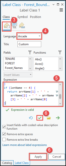 The Label Class pane with the parameters to be filled