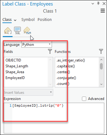 Label class pane with Python configuration.png