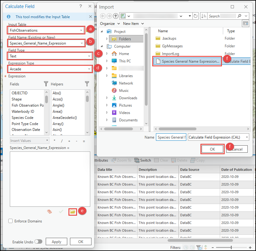 The Calculate Field and Import dialog box