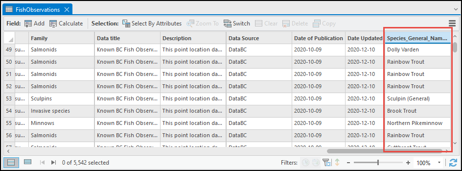 The attribute table