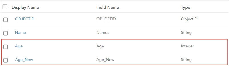 The Age and Age_New field with different data types.