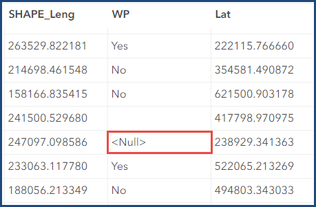 The '<Null>' value in the field.