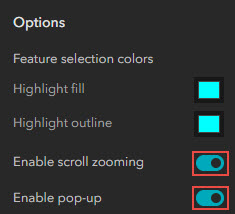 The Enable scroll zooming and Enable pop-up toggles enabled in the Options section.