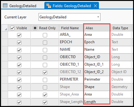 The field alias names in ArcGIS Pro