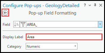 Specifying the field alias name in the Pop up Field Formatting page