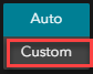 The Custom button