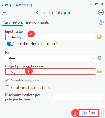 The Raster to Polygon pane