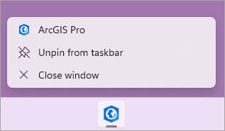 The ArcGIS Pro icon on the Windows taskbar.