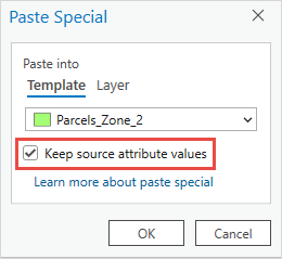 The checked 'Keep source attribute values' option in the Paste Special dialog box.