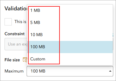 The File size section in the Edit tab of the ArcGIS Survey123 website. 